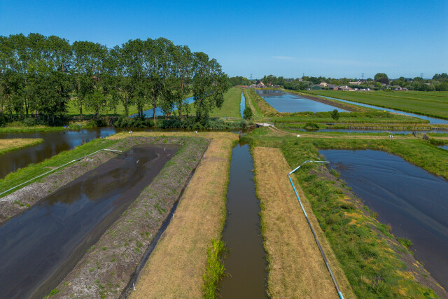 De Kuiper 14072026 0131