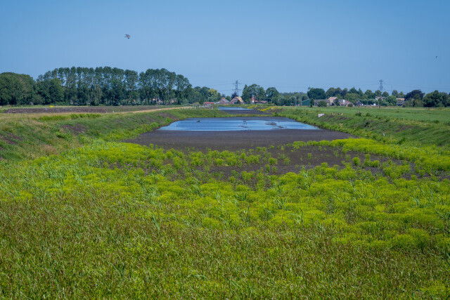 De Kuiper 14072026 9764