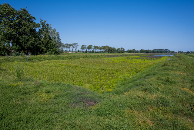 De Kuiper 14072026 9770