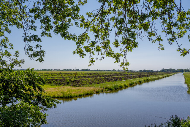 De Kuiper 14072026 9775