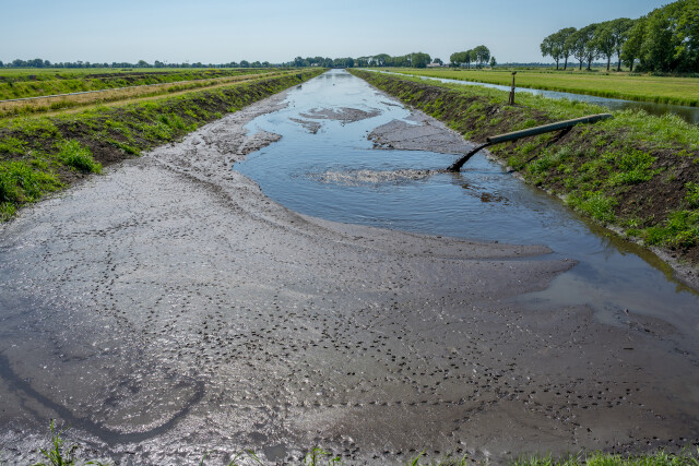 De Kuiper 14072026 9777