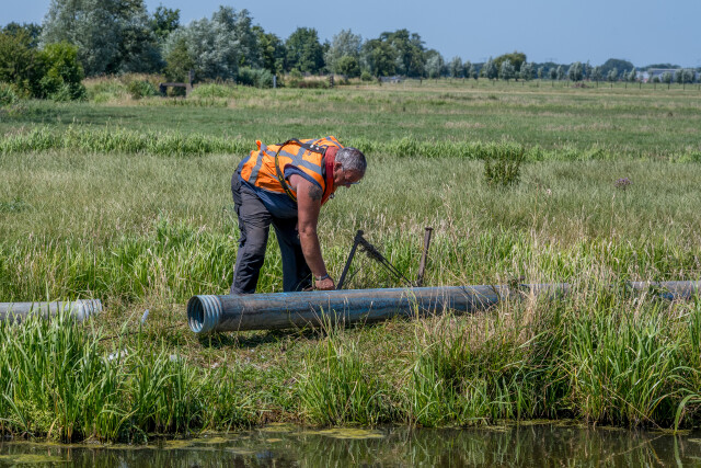 De Kuiper 14072026 9862