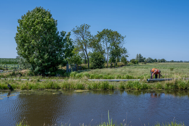 De Kuiper 14072026 9864