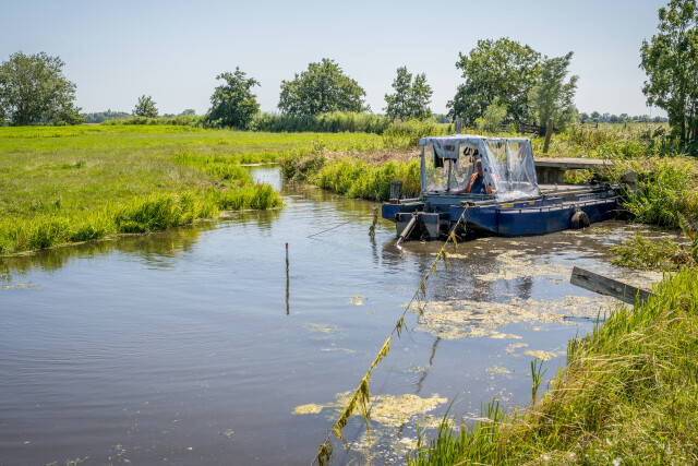 De Kuiper 14072026 9885