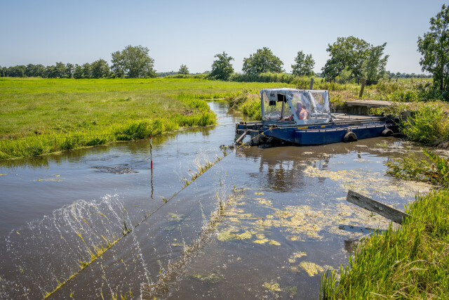 De Kuiper 14072026 9894