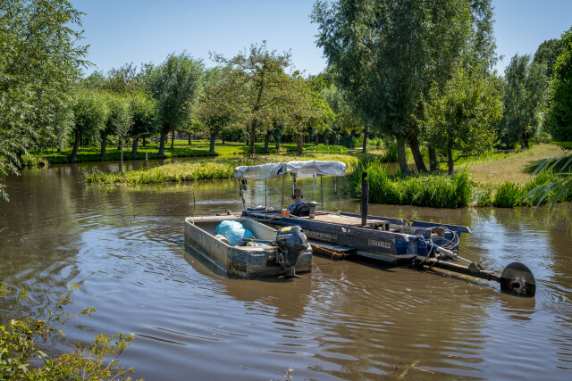 De Kuiper 14072026 9979